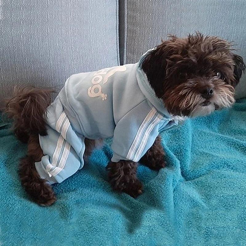 Winter Dog Sweatshirt Coat