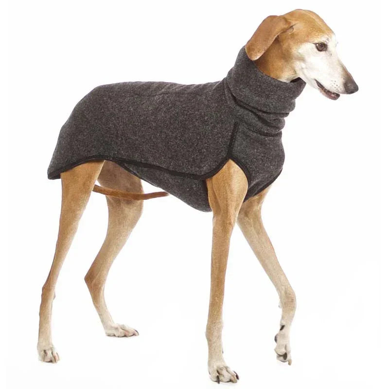 Newest Winter Big Dog Warm High Collar Pet Coat