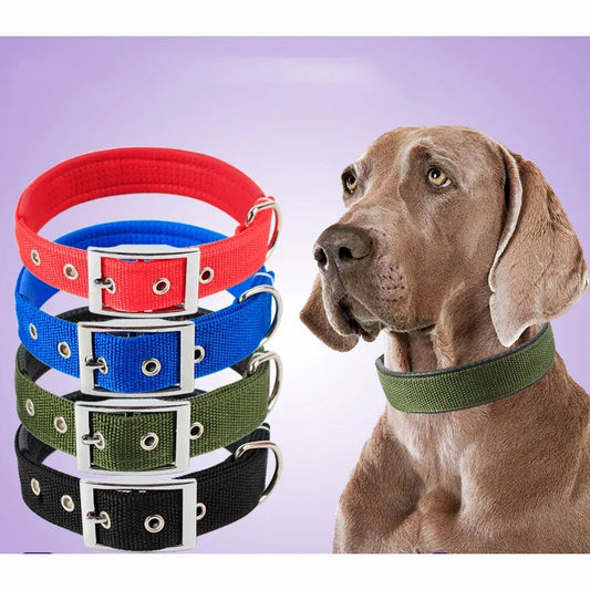 Solid Dog Collars Nylon Dog Collar For Small Medium Large Dogs Teddy Keji Pitbull Bulldog Beagle - Empire P.E