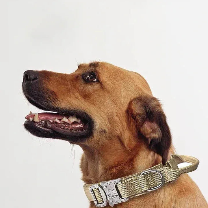 Pet Dog Collar Leash Set Nylon Material Durable Dog Collar Reflective Leash Pet Tactical Training Dog Collar Large Dog Leash Set - Empire P.E