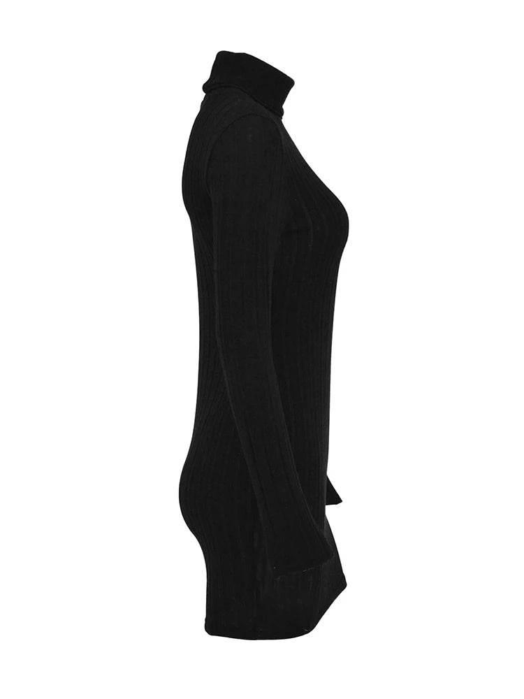 New Sexy Mini Dress For Women Autumn Black Solid Turtleneck Long Sleeves Sheath Dress Club Elegant Bodycon Party Dresses Female - Empire P.E