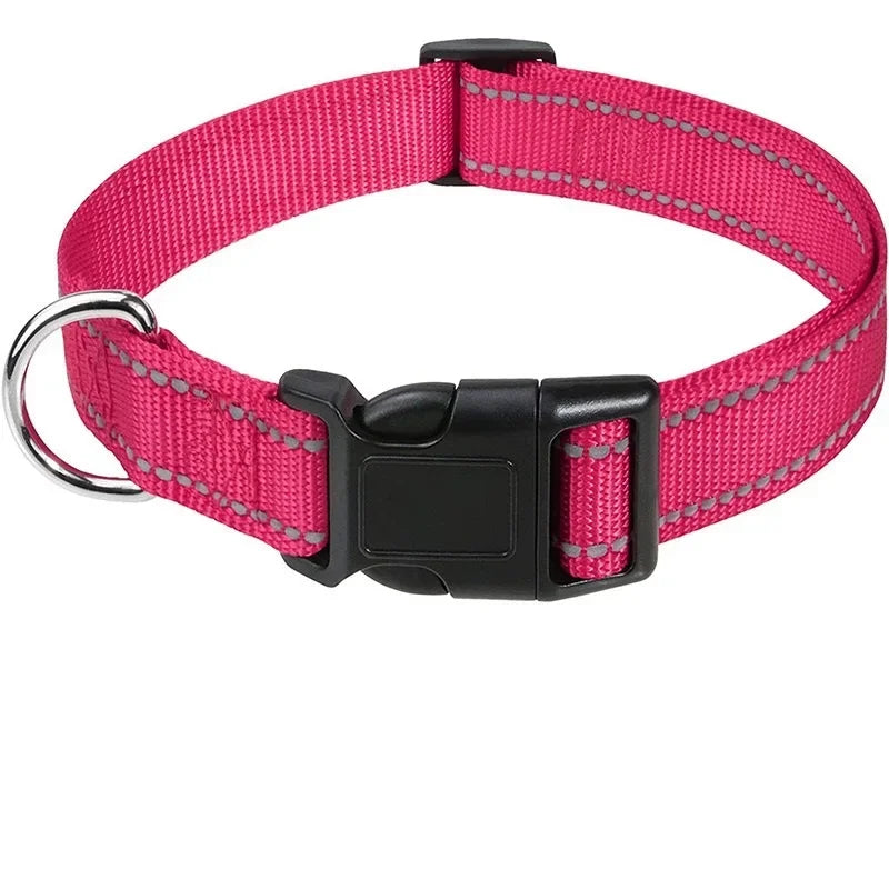Collars for Dogs Choker Small Dog Collar - Empire P.E