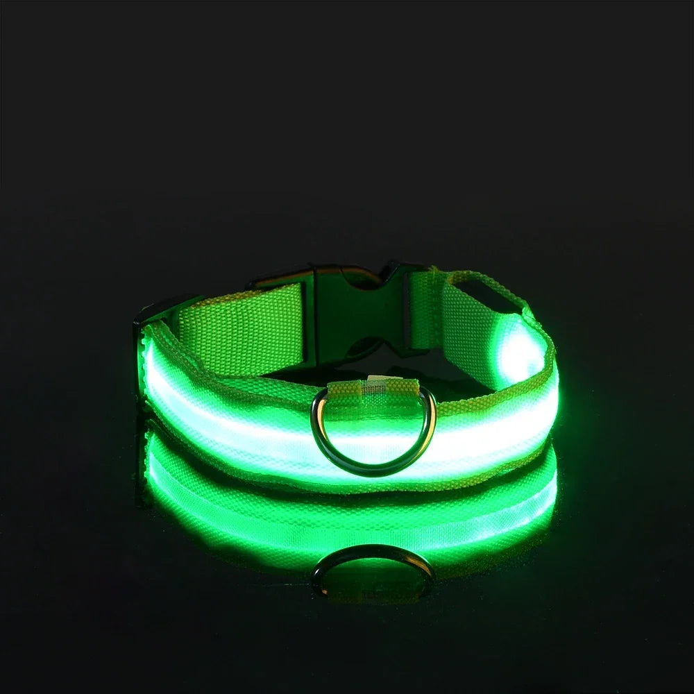 Nylon LED Night Safety Flashing Glow In The Dark Dog Leash - Empire P.E