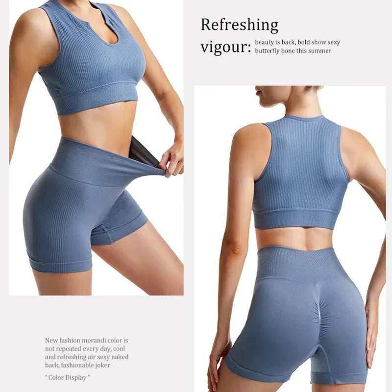 Gym Set Workout Clothes Seamless Leggings Sports Bra Yoga Set - Empire P.E