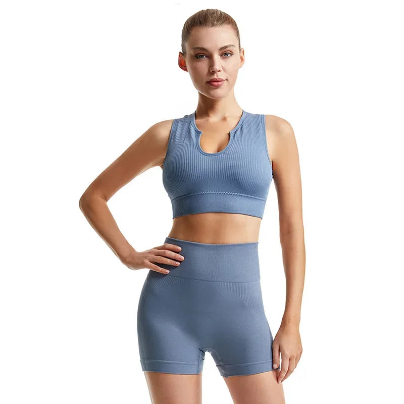 Gym Set Workout Clothes Seamless Leggings Sports Bra Yoga Set - Empire P.E