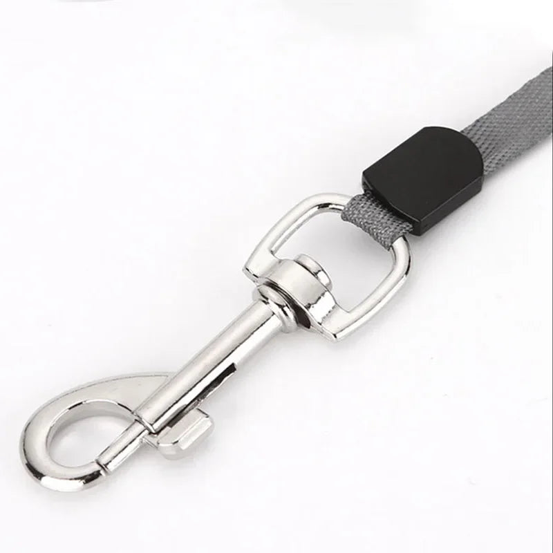 3m 5m Nylon Dog Leash Automatic Retractable - Empire P.E