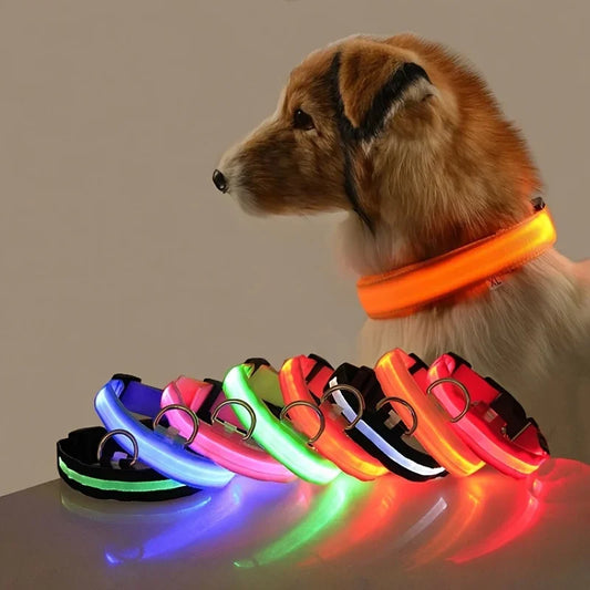 Nylon LED Night Safety Flashing Glow In The Dark Dog Leash - Empire P.E