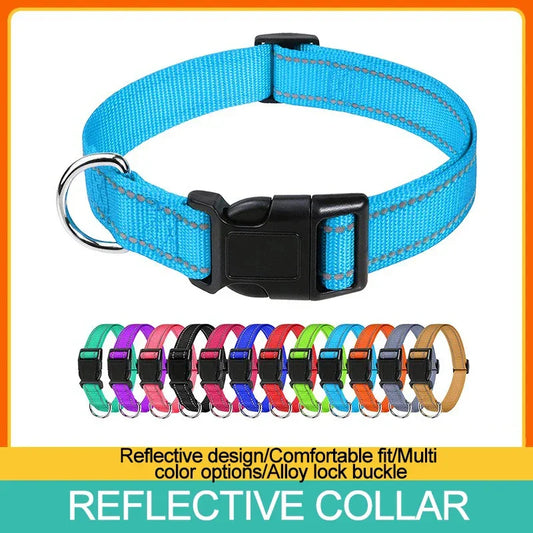 Collars for Dogs Choker Small Dog Collar - Empire P.E