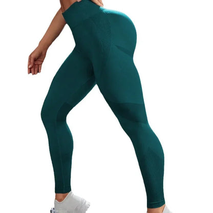 Women's Gym Seamless Yoga Pants - Empire P.E