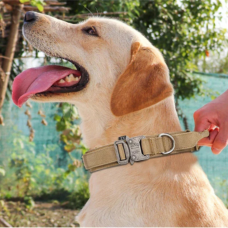 Pet Dog Collar Leash Set Nylon Material Durable Dog Collar Reflective Leash Pet Tactical Training Dog Collar Large Dog Leash Set - Empire P.E