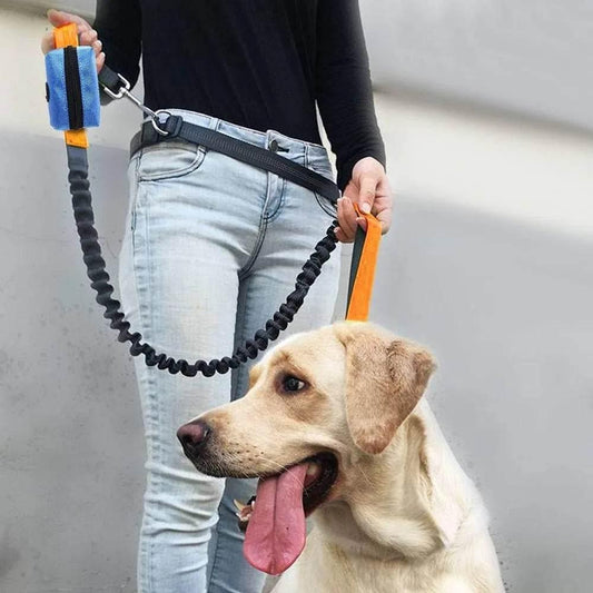 Pet Poop Bag Dispense Portable Adjustable Multifunctional Outdoor Cat and Dog Feces Bag Holder Dispenser Pet Cleaning Tools - Empire P.E