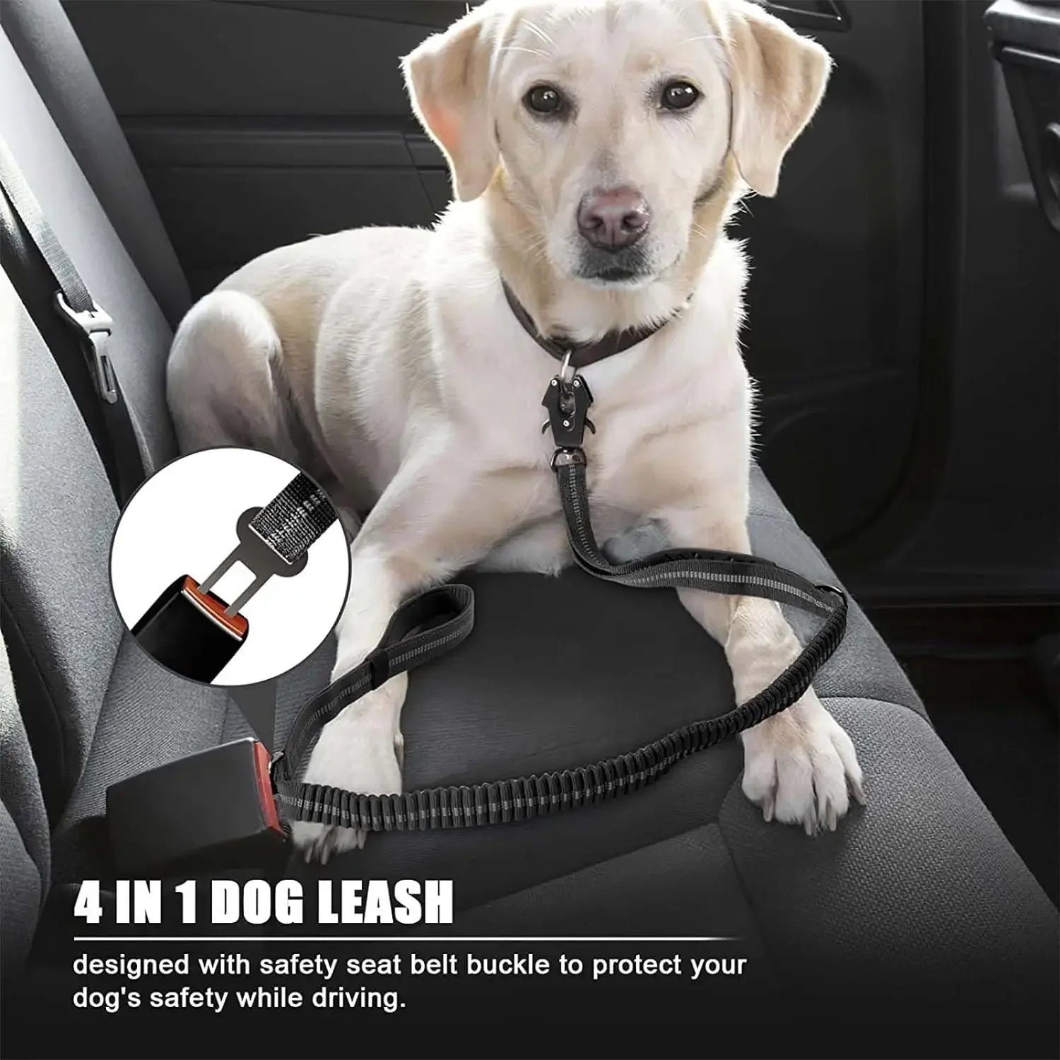 Reflective Shock Absorbing Pet Leashes - Empire P.E