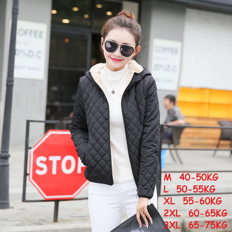 New Women's Warm Cotton Coat - Empire P.E