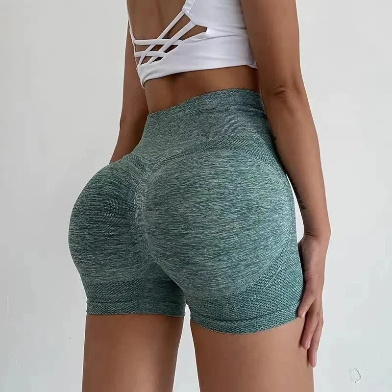 Fitness Gym Wear Seamless Sports Leggings - Empire P.E