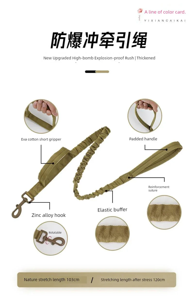 Super Strong Large Dog Collar - Empire P.E