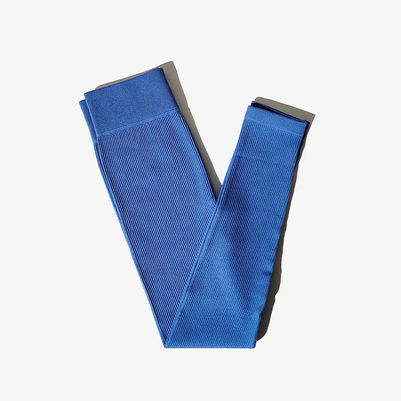 New Ribbed Seamless Yoga Pants High Waist Gym Leggings - Empire P.E