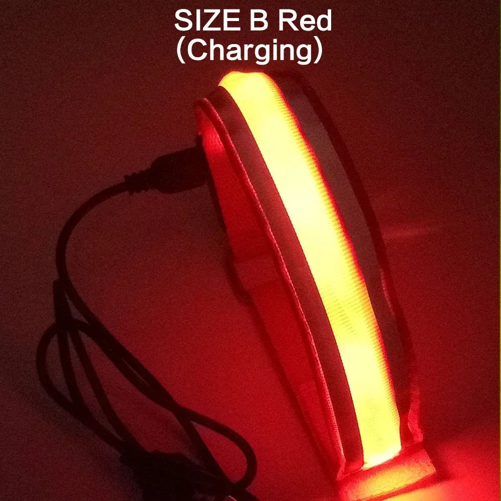 Armband LED Light USB Rechargeable Safety Belt