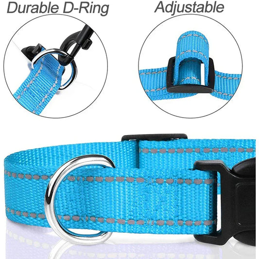 Collars for Dogs Choker Small Dog Collar - Empire P.E