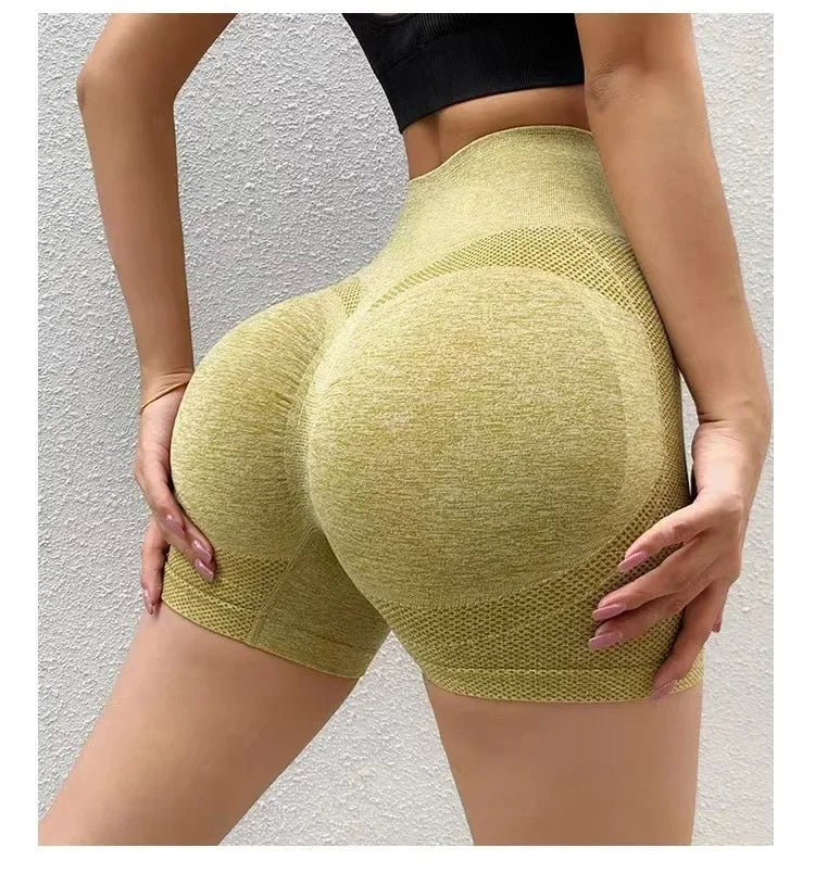 Fitness Gym Wear Seamless Sports Leggings - Empire P.E