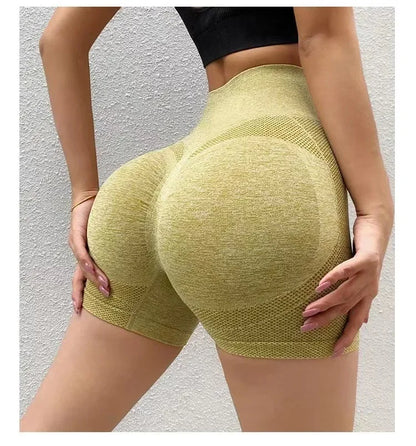Fitness Gym Wear Seamless Sports Leggings - Empire P.E