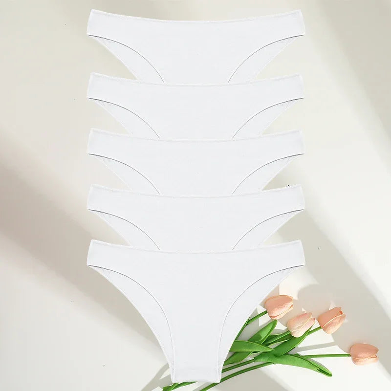 5PCS/Set M-XXL Panties Women Cotton Lingerie - Empire P.E