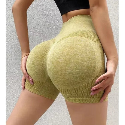 Fitness Gym Wear Seamless Sports Leggings - Empire P.E
