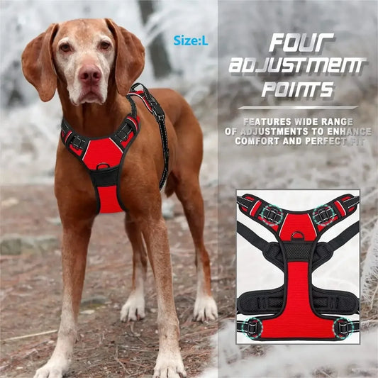 Dog Collars Harness Big Vests - Empire P.E