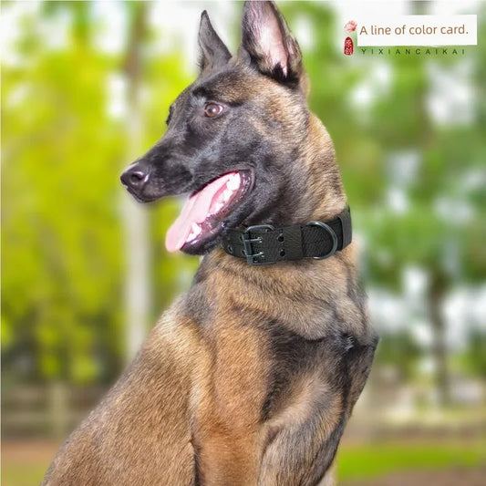 Super Strong Large Dog Collar - Empire P.E