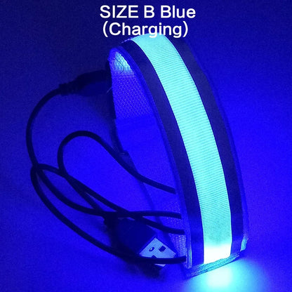 Armband LED Light USB Rechargeable Safety Belt