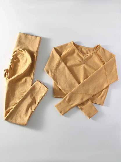 Women's 2 Piece Seamless Yoga Sportswear Set